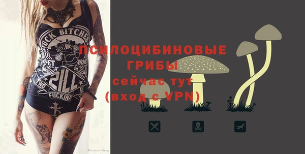 гидра Касимов