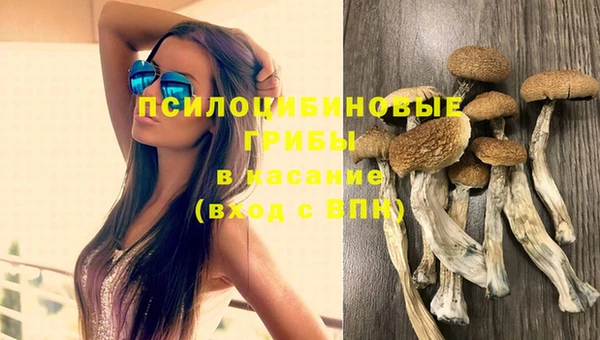 гашиш Карпинск