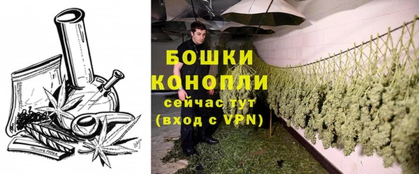 гидра Касимов