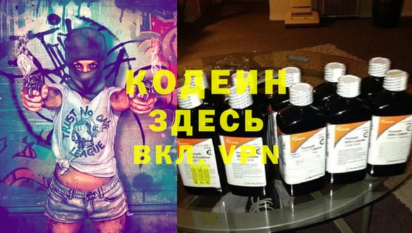гидра Касимов