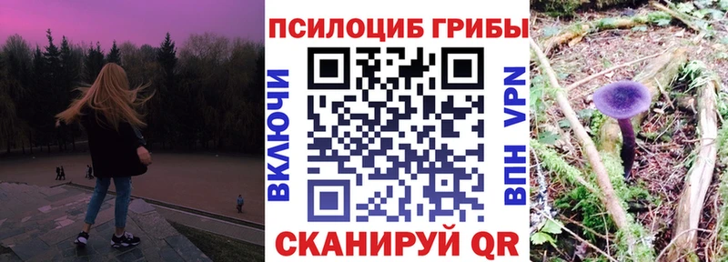 Псилоцибиновые грибы MAGIC MUSHROOMS  сколько стоит  Элиста 